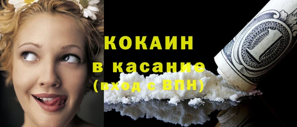 индика Магас
