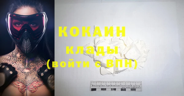 индика Магас