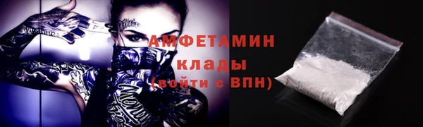 индика Магас
