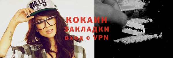 индика Магас