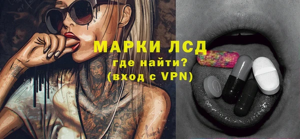 индика Магас