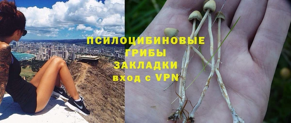 индика Магас