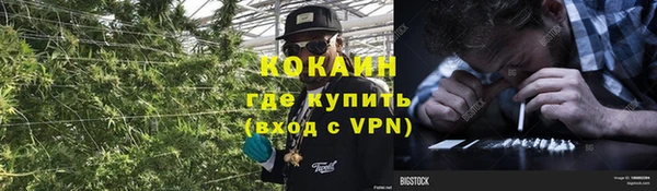 индика Магас