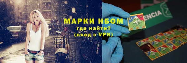 индика Магас