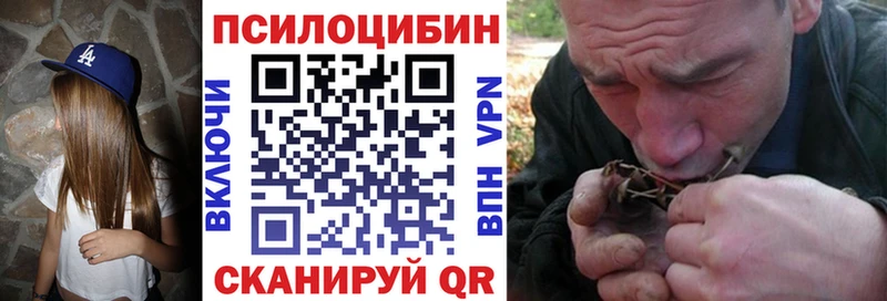 Купить  Анадырь  Галлюциногенные грибы GOLDEN TEACHER 